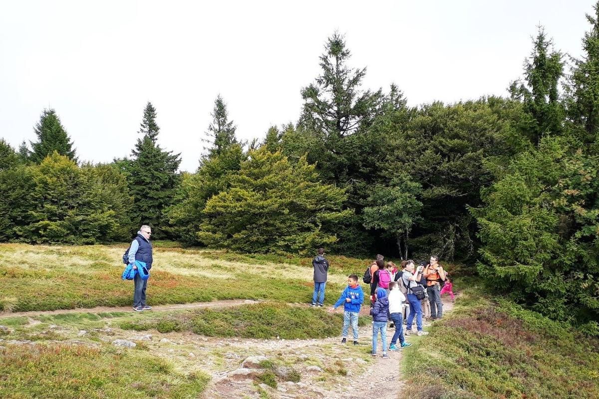 En diaporama, la journée en plein air du 10 septembre (32 photos)
