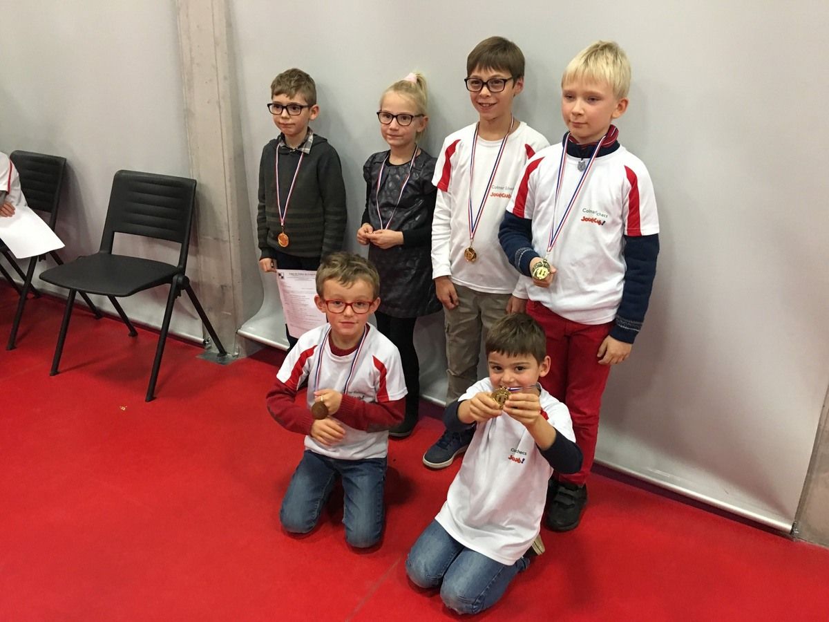 Championnat du Haut-Rhin à Mulhouse . Nos jeunes pousses en conquête !