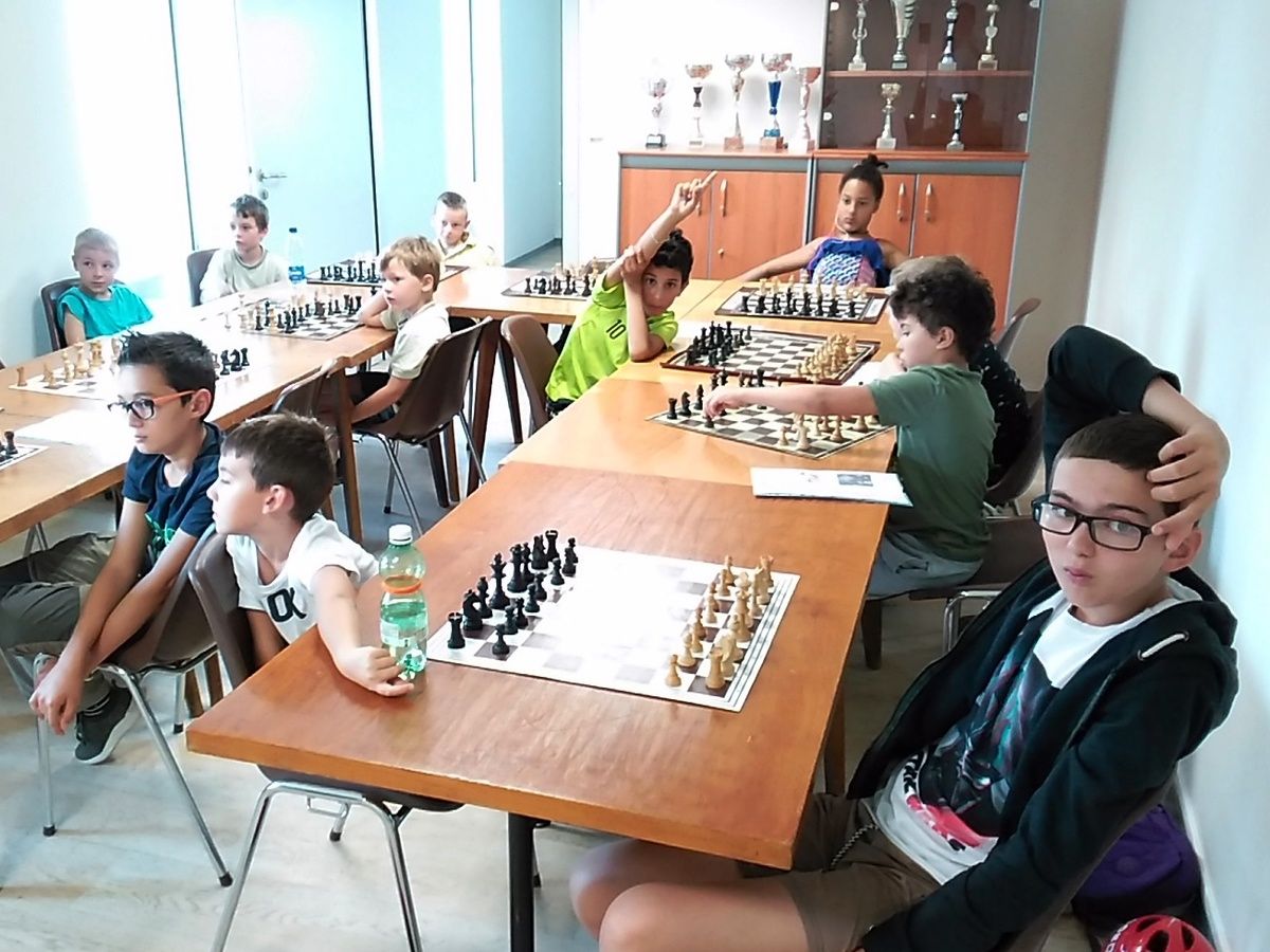 Stages d'été : les quatre stages d'initiation aux échecs ont accueilli cinquante-sept jeunes